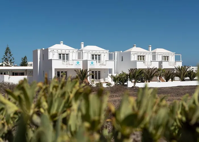 Delmar - Gallo Charco del Palo