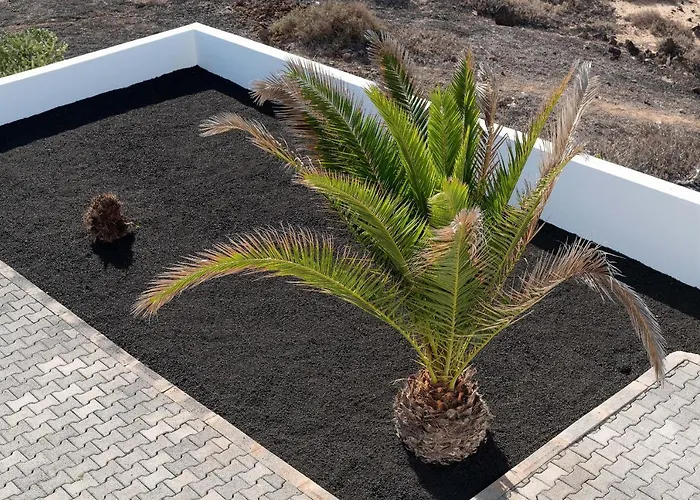 Delmar - Gallo Lägenhet Charco del Palo